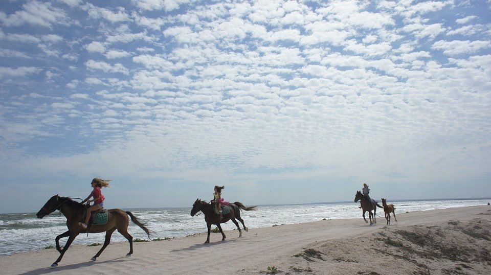 Horses Beach Le Touquet