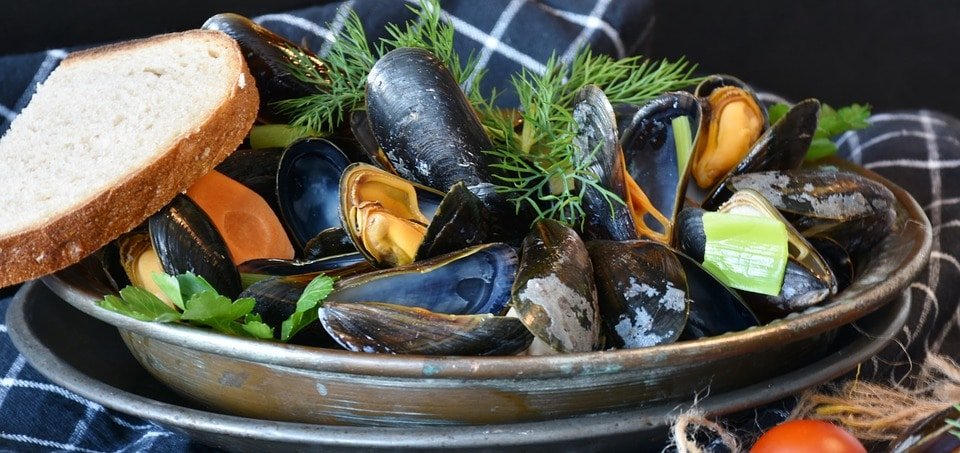 Mussels-Moules Mariner