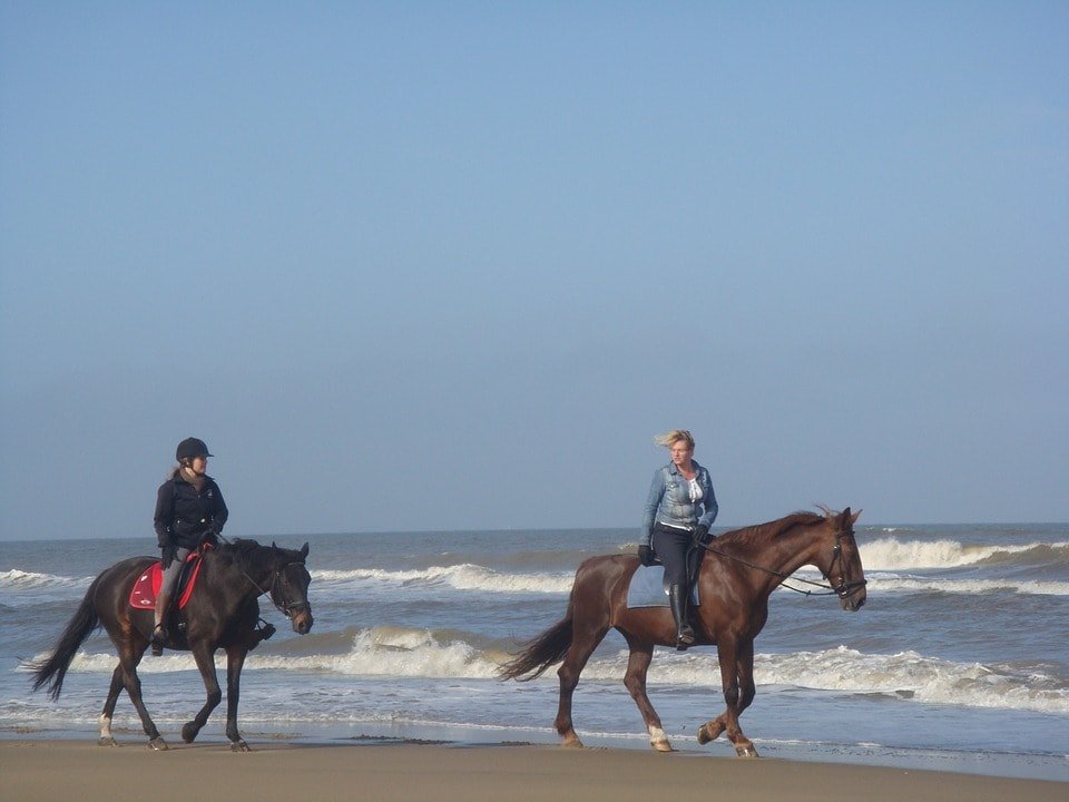 Horses Beach